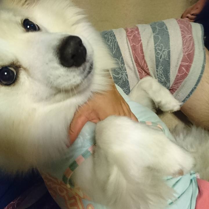 C6a9e05c b5ab 4631 9105 842dfd0ff468