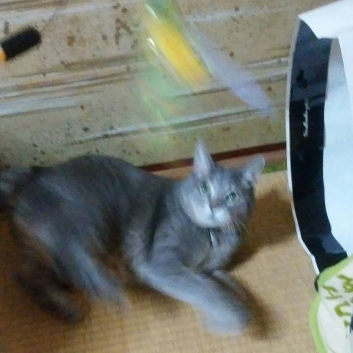 C6a9eec9 03ff 4687 ad99 c65f8f7bd504