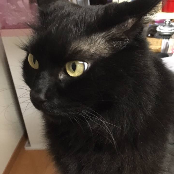 C6aa0179 7f6f 4a92 8c9f a12bd78864c7