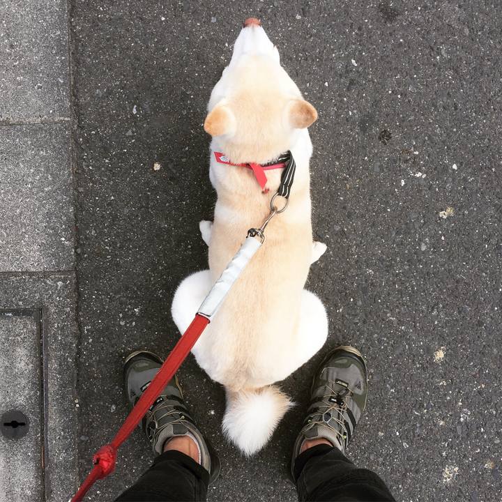 C6aa4613 ff8e 4732 a46d 6af26a0d9c2b