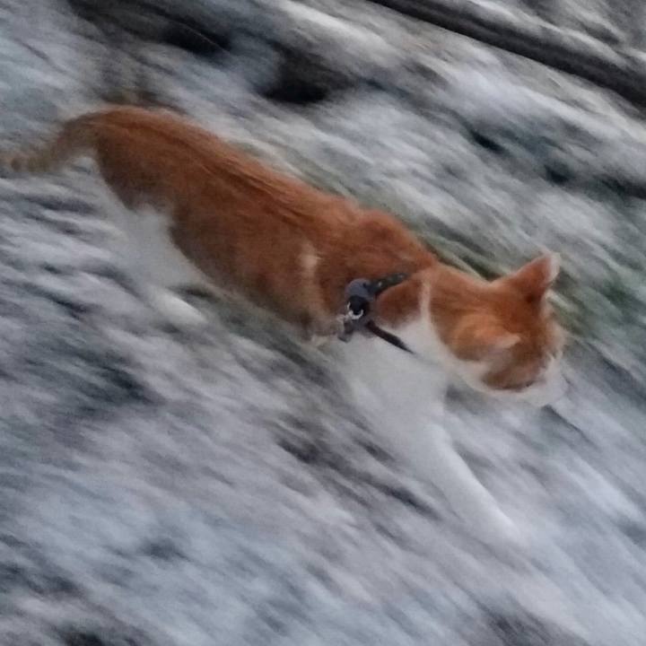 C6aade85 8538 4864 8db8 b201c3ff5393