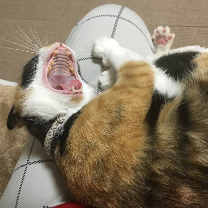 C6ab96b3 7060 474a 8c8c 58eee0a69a99