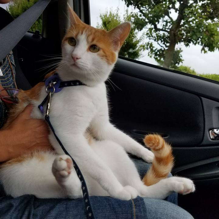 C6abd681 b5d0 4e1d 9e84 47cf0c9e1a97