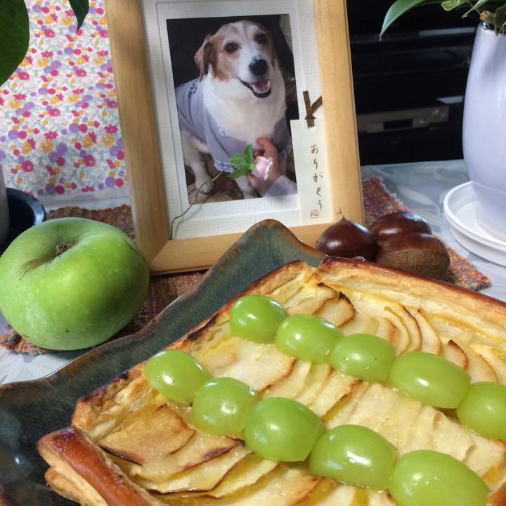 C6ac94c9 0e0d 4c58 b6e7 ab388bd2e4d4