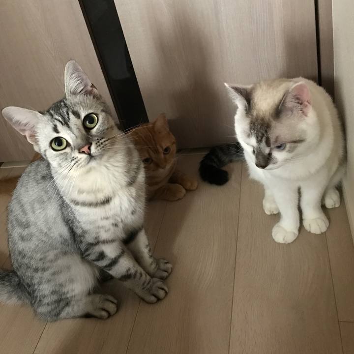 C6aca1d0 1fe7 4982 b3df b054ffb98dd0