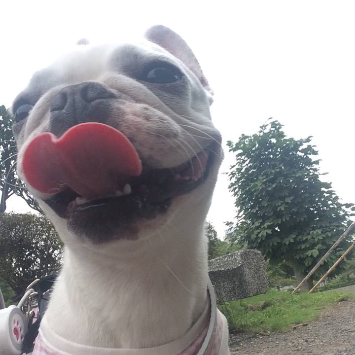 C6acb120 1e93 433b 8fc0 40c8ac0cbc58