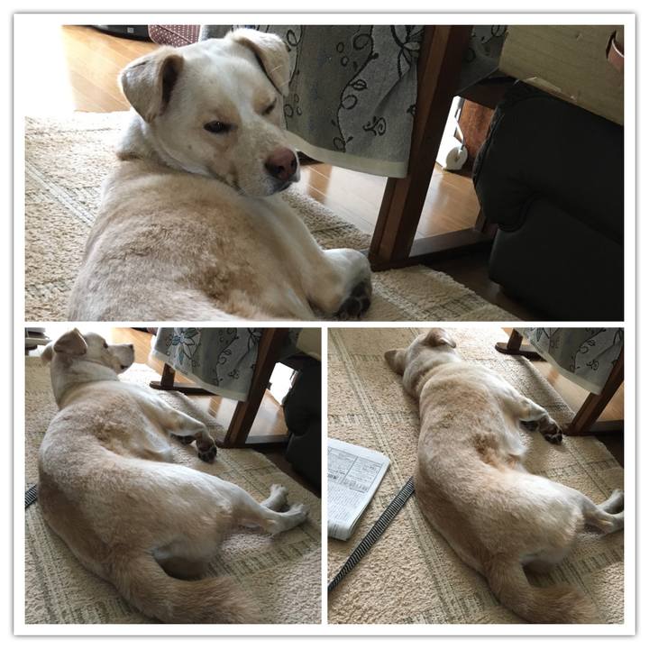 C6ad7564 5151 4ec9 8874 c6e927444df9