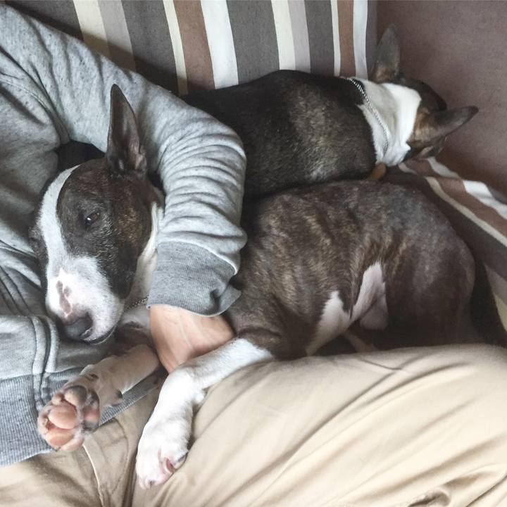 C6ada63f 8f50 43d1 b3eb a48446415000