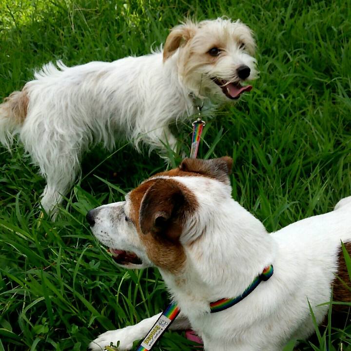 C6adacdf b5e2 4daf 996c e5a3c9b454a3