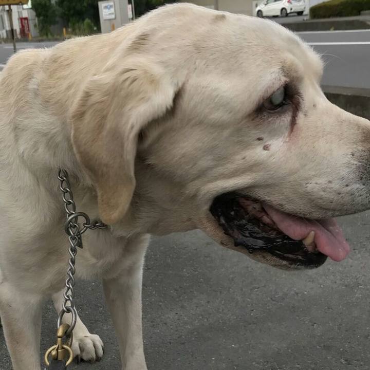 C6add1d6 9698 4881 9b02 8bb15885aa72