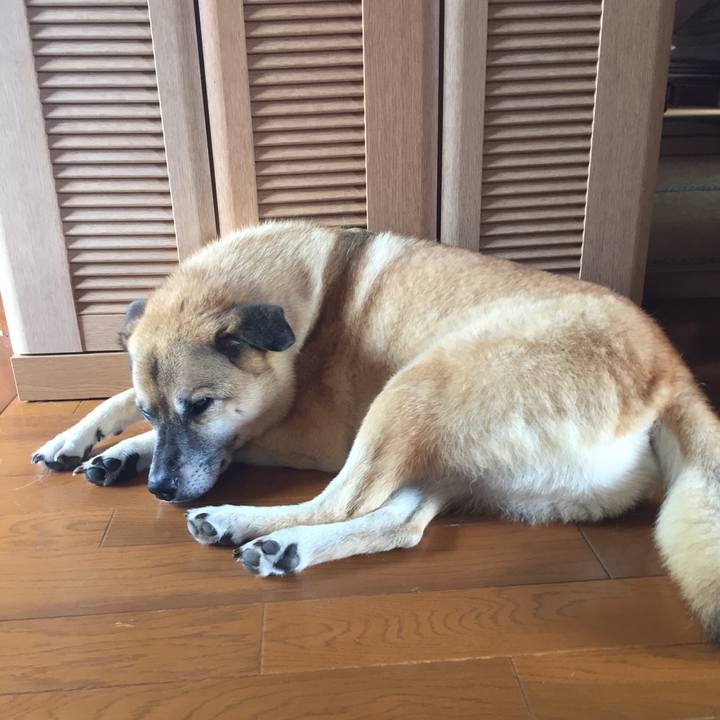 C6ae5f72 6b9e 4ae3 a523 cf410762a9cf