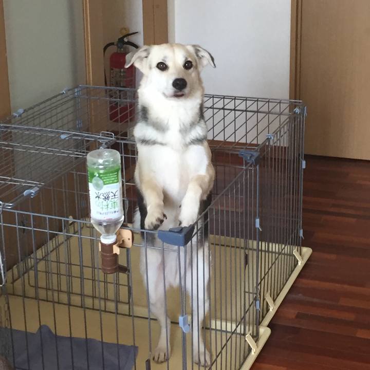 C6ae758d 8313 4fdf af74 c77aff6e3fbb