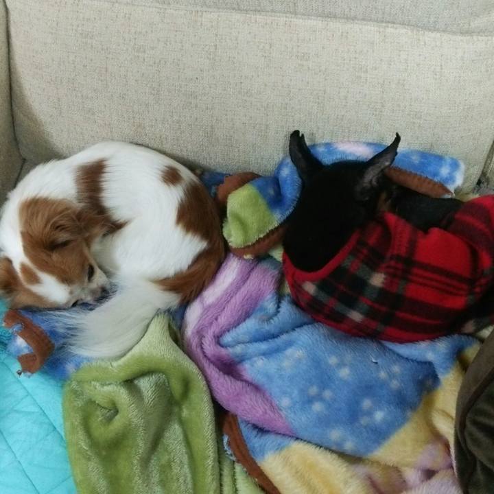 C6af1c32 dba6 46c2 8344 dfaa1bc3b168