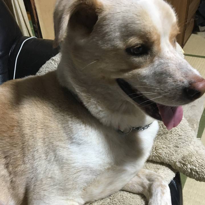 C6af4bd4 8bd3 4426 8c6f 7bc413dd85ab