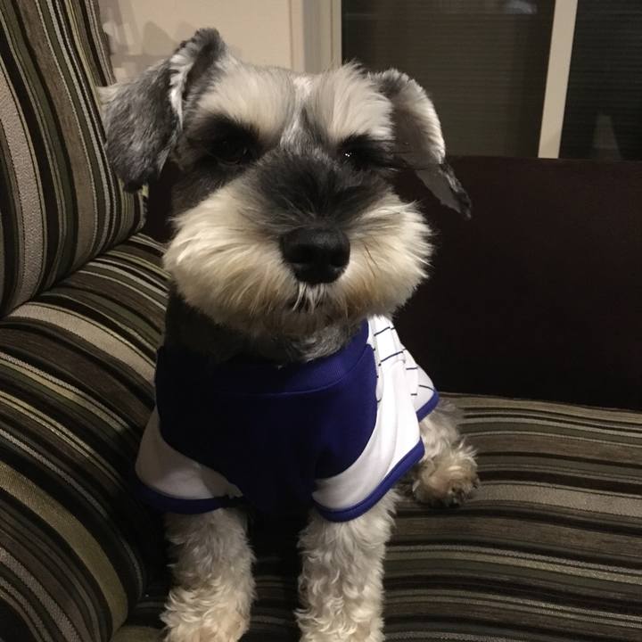 C6afebb4 9924 4ffc a985 e5c2a89d89e5