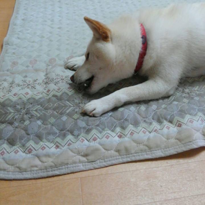 C6b0449b 9014 4b9d 9e2b 4742aa771c27