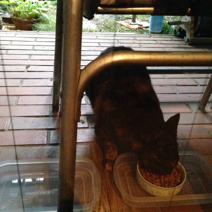 C6b07618 32d3 46a2 aace c0e0c1946fcf