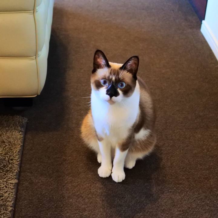 C6b1013d b458 40d3 b69c 488c07a44d02