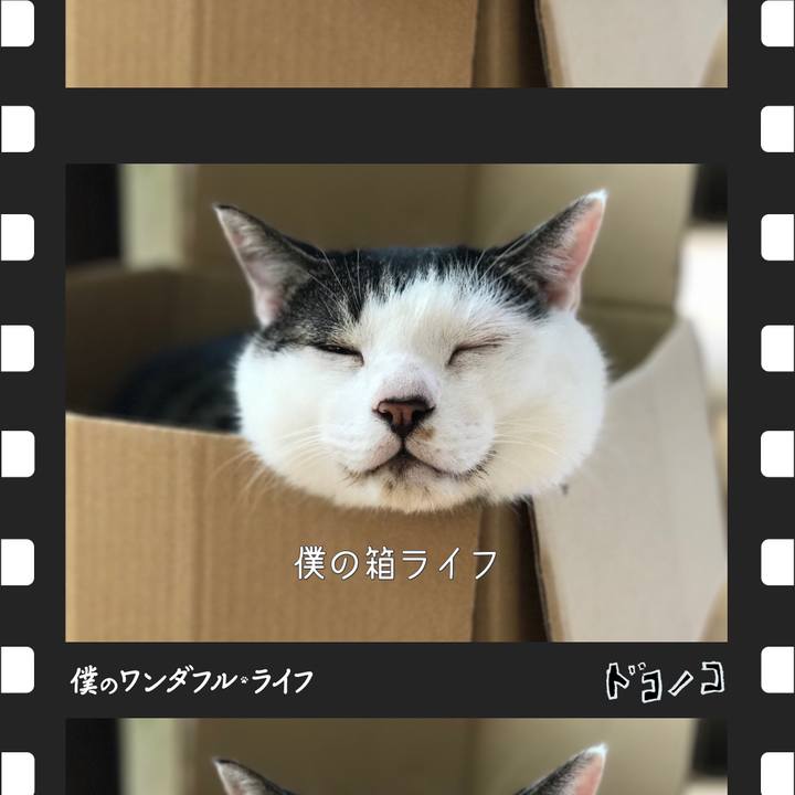 C6b190a2 5786 4d3b a50c bc9304cdc44f