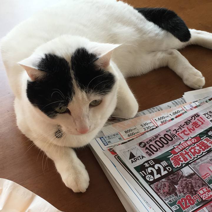 C6b1c5c7 3fdd 4a05 b12f 7ea1f69a0f29