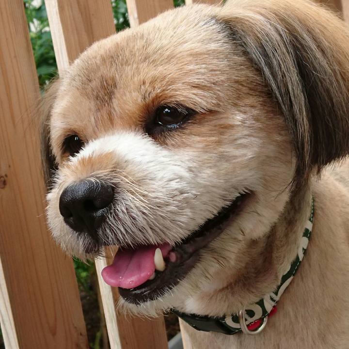 C6b1cb2d 3ee9 422f 8f41 0578ed90b47a