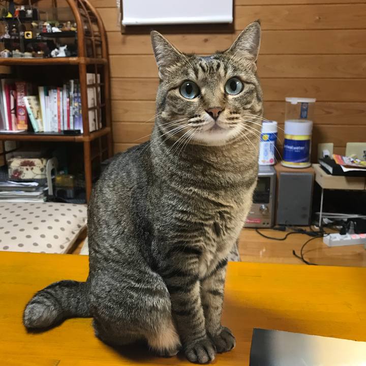 C6b1e59f 2d63 48e7 a38f 7297d548260e