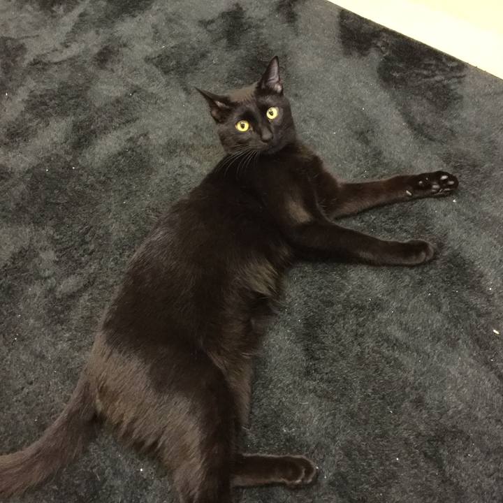 C6b269b6 db79 4a85 898d 77728cdbd114