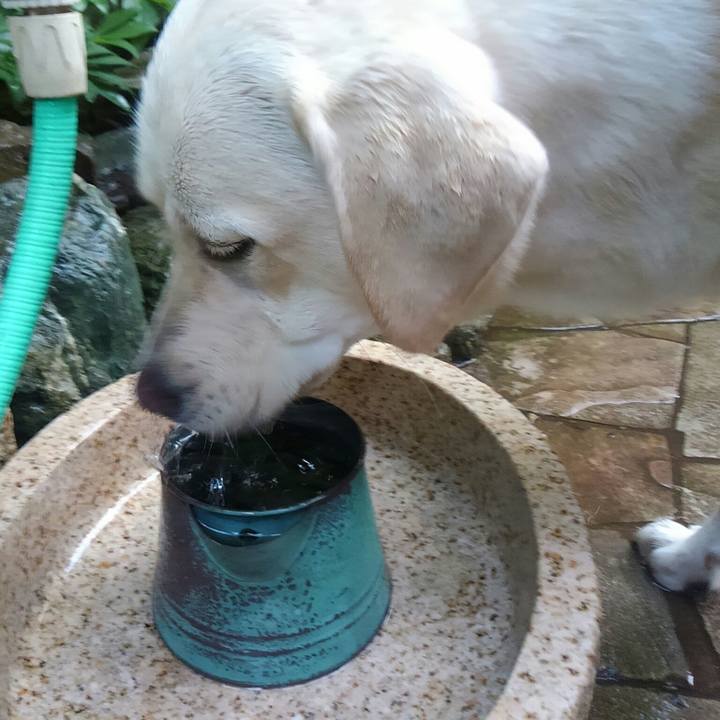 C6b27ccf 6a42 411b baa4 0d27740a62bb