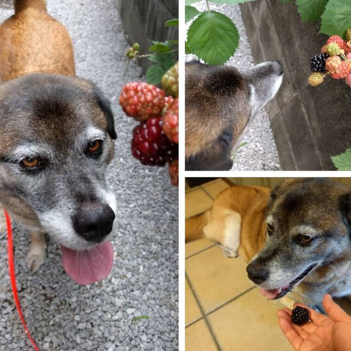 C6b2f632 e0fc 4ff9 b39e e4aa82ed66cb