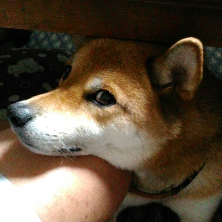 C6b3324e 4327 4598 aa2c ce061dc82822