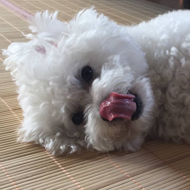 C6b35590 01fd 476e 93ed 4adeffa98cdc