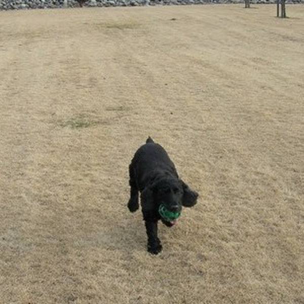 C6b38c8d 9ca5 4bb6 951a 1a5748f36a70