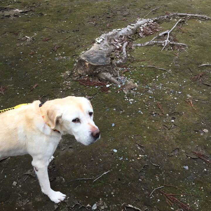 C6b3ba1b 4875 455b 8b4a 622bdc6c956b