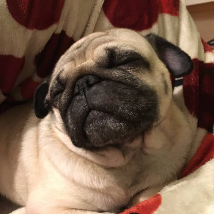 C6b3e3d2 d6b2 4b8e b05f 31719af52636