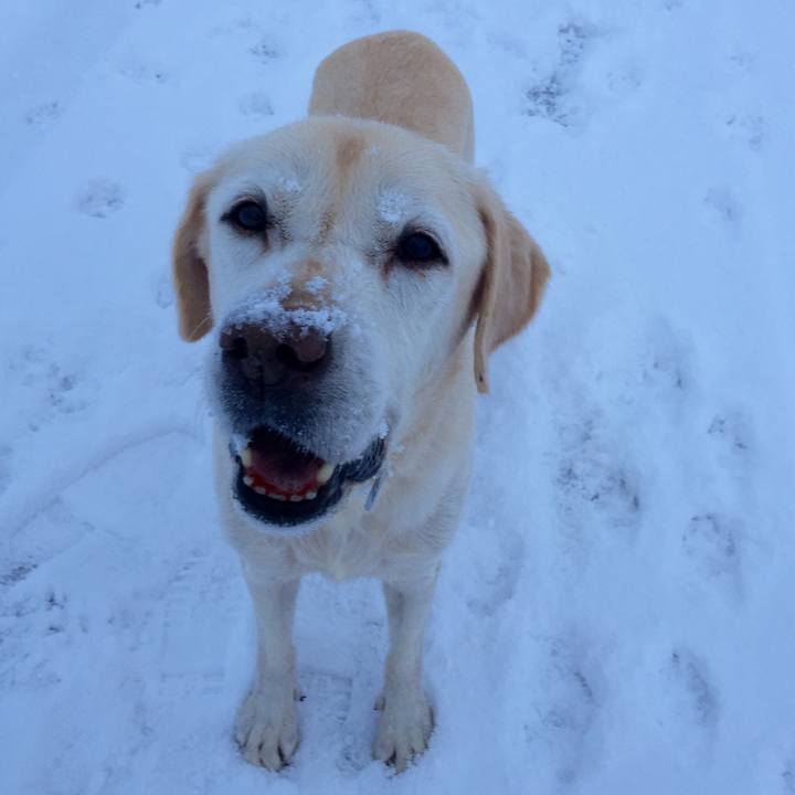 C6b433dc d249 45e2 811f bb96fd5c63c9