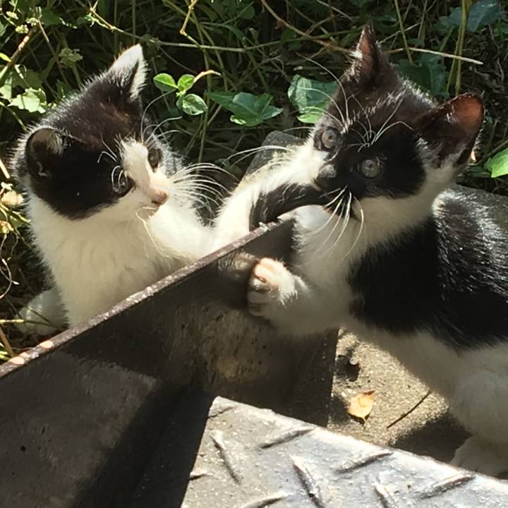 C6b4b4e6 b322 4e3f a759 73bd99deb60a