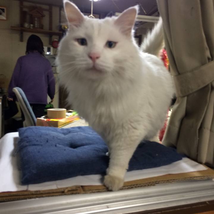 C6b4ca27 31fd 4e48 b8ba df2cc57f5f98