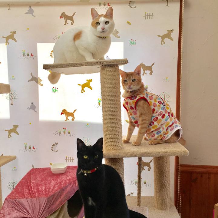 C6b5aa8a 0675 4745 b008 939a9abf427b