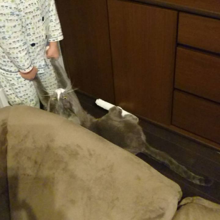 C6b5b86b 82b3 4ae3 997b 2ed6c894d3bb