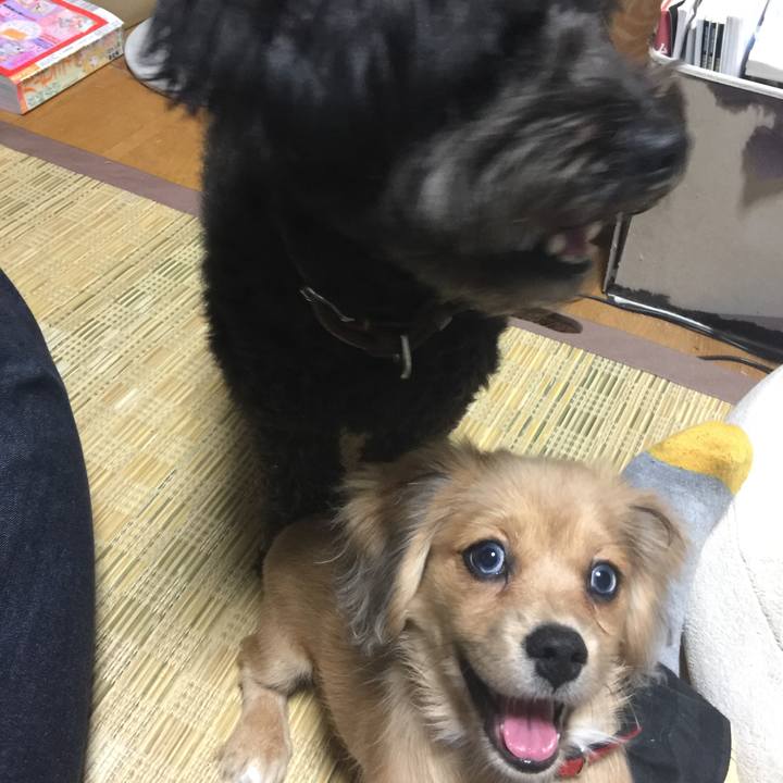 C6b6b219 7b64 494d 880f 872c29abd0fe