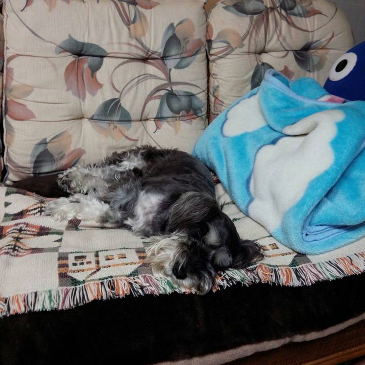 C6b6b7cd 5562 4874 9815 ddd43aca4098