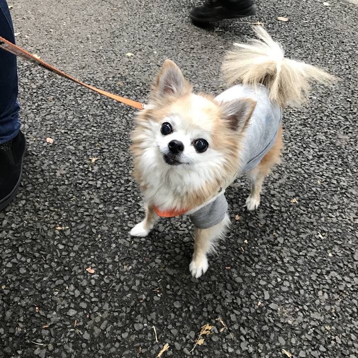 C6b81562 17c7 4727 ad3a 920426acb89c