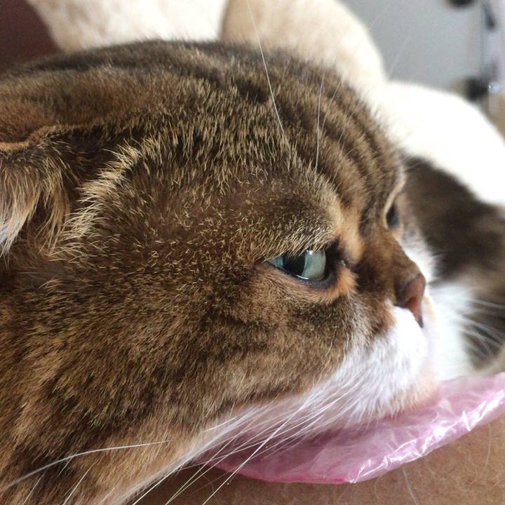 C6b8206b d54a 48b1 b8fe 374ca485e9f4