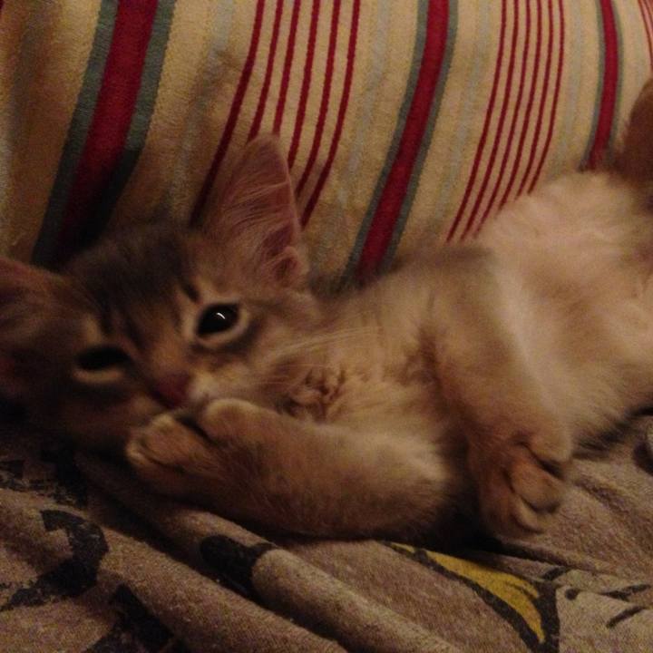 C6b84c2b 7d08 4f9b aeb9 5c0bcb863f24