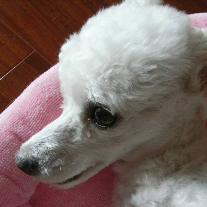 C6b90668 983b 4f43 8513 dadc721c4979