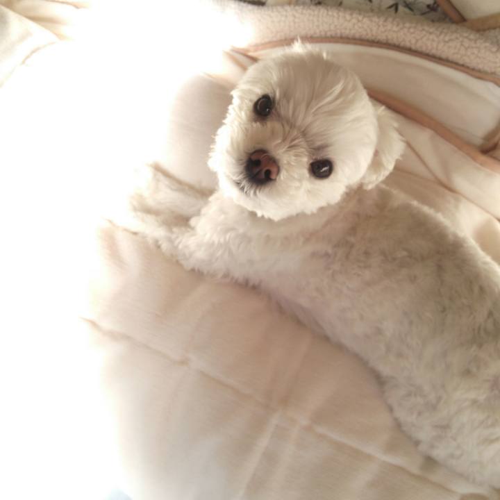 C6b91d48 82ed 4d07 92d8 677a54b1e7f1