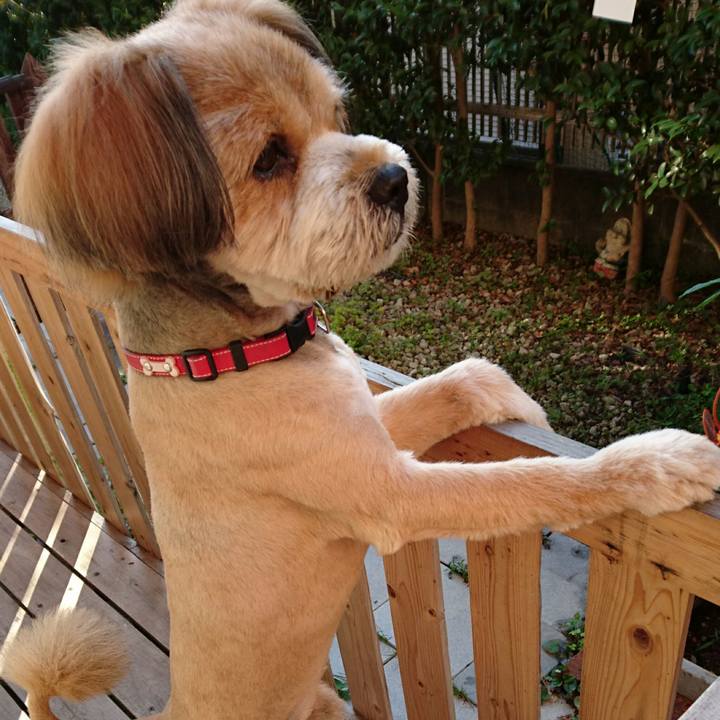 C6b96bfe 7010 4de2 a443 948698b7b3d0