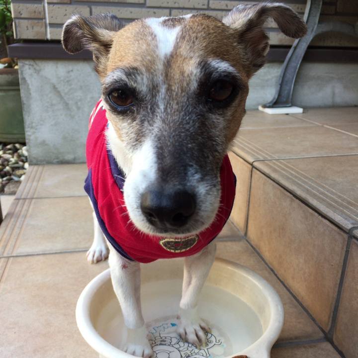 C6b9724d 7899 4c4d a474 c5aa0c4bd0af