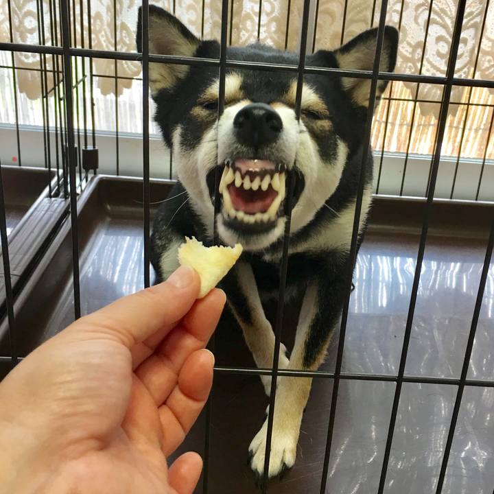 C6b980fa 6254 4e98 9c33 75b6783b16e4