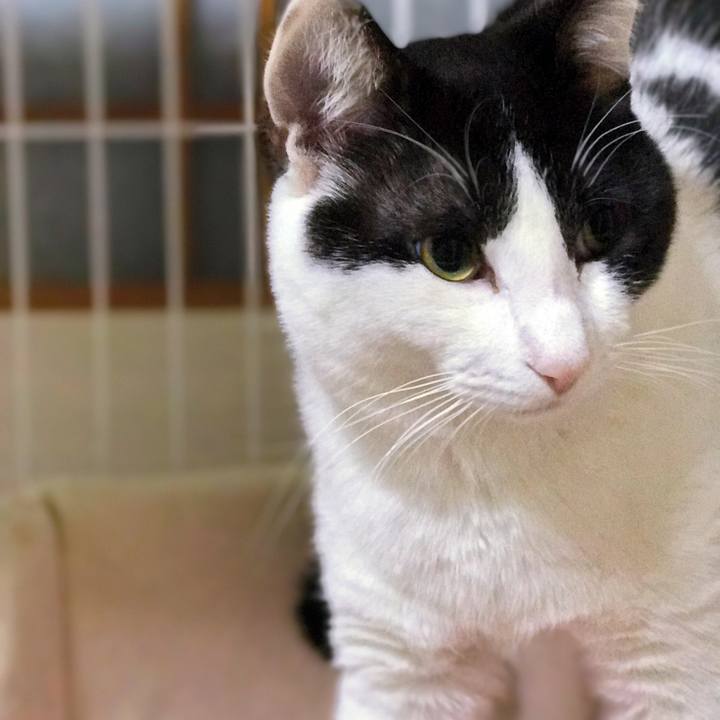 C6b9b59c 0d06 412a 823a 90f28e1cc1d7